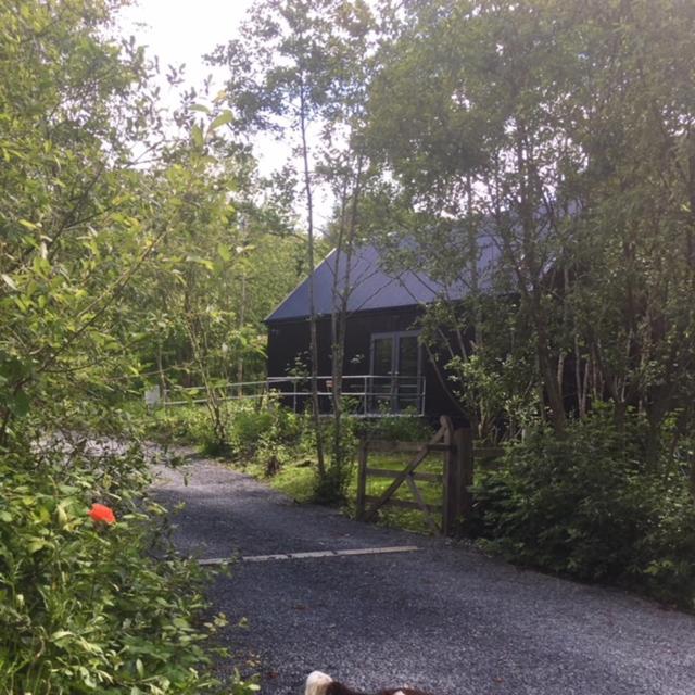Alder Cabin Kilkenny Eksteriør billede